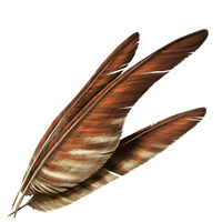 Large Feathers