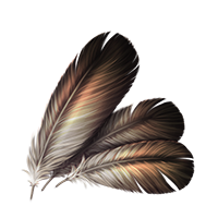 Small Feathers