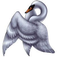 Carcass: Swan